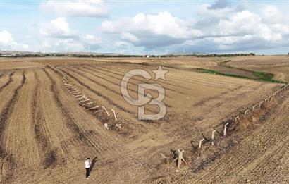 SİLİVRİ YENİ MAHALLEDE 18.319 M² FENERKÖY YAKINI SATILIK TARLA