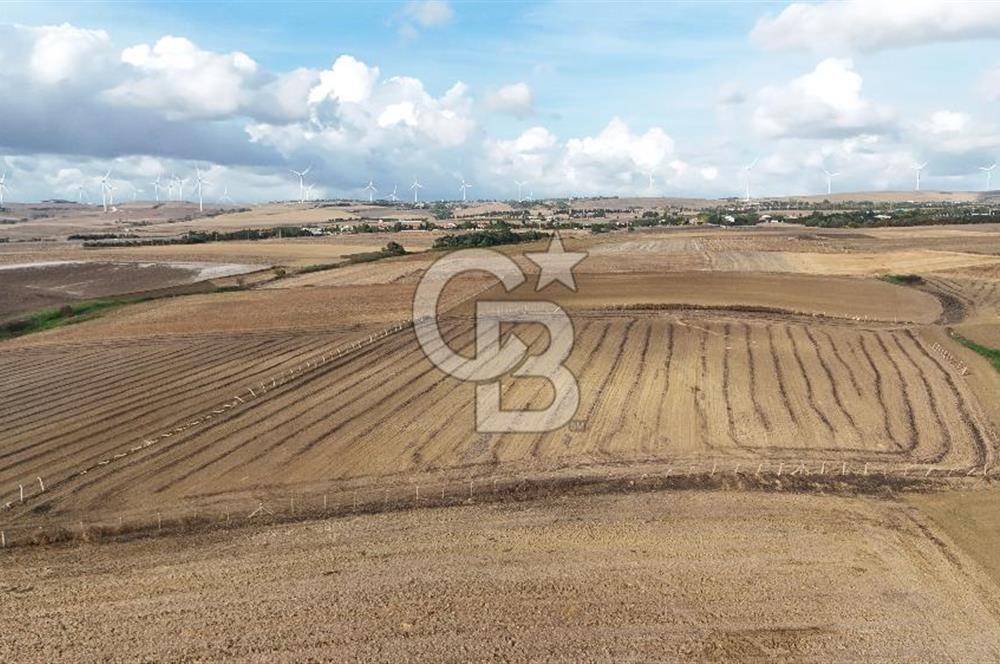 SİLİVRİ YENİ MAHALLEDE 18.319 M² FENERKÖY YAKINI SATILIK TARLA