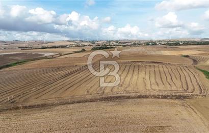 SİLİVRİ YENİ MAHALLEDE 18.319 M² FENERKÖY YAKINI SATILIK TARLA