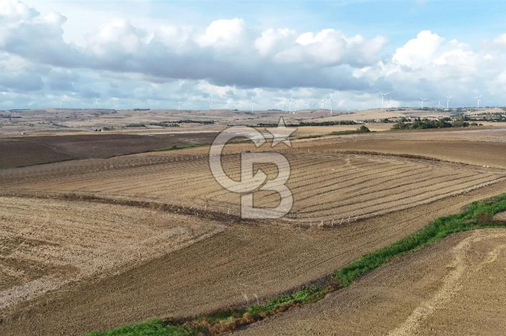 SİLİVRİ YENİ MAHALLEDE 18.319 M² FENERKÖY YAKINI SATILIK TARLA