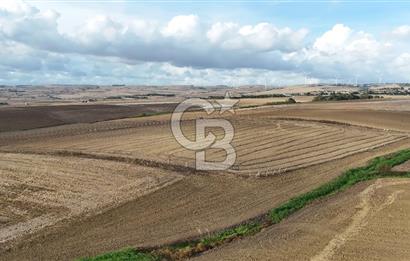 SİLİVRİ YENİ MAHALLEDE 18.319 M² FENERKÖY YAKINI SATILIK TARLA