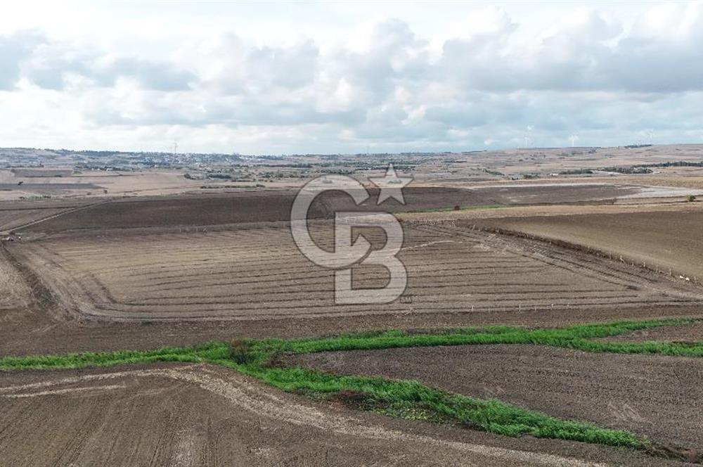 SİLİVRİ YENİ MAHALLEDE 18.319 M² FENERKÖY YAKINI SATILIK TARLA