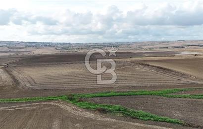 SİLİVRİ YENİ MAHALLEDE 18.319 M² FENERKÖY YAKINI SATILIK TARLA