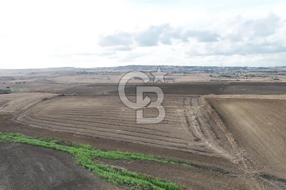SİLİVRİ YENİ MAHALLEDE 18.319 M² FENERKÖY YAKINI SATILIK TARLA