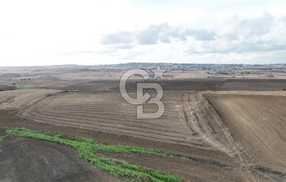 SİLİVRİ YENİ MAHALLEDE 18.319 M² FENERKÖY YAKINI SATILIK TARLA