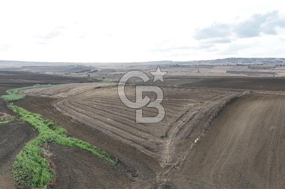 SİLİVRİ YENİ MAHALLEDE 18.319 M² FENERKÖY YAKINI SATILIK TARLA