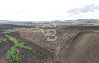SİLİVRİ YENİ MAHALLEDE 18.319 M² FENERKÖY YAKINI SATILIK TARLA