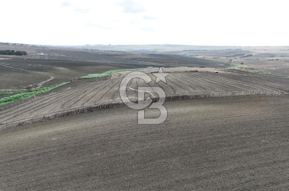 SİLİVRİ YENİ MAHALLEDE 18.319 M² FENERKÖY YAKINI SATILIK TARLA