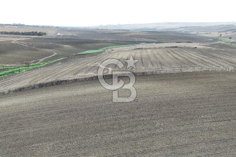 SİLİVRİ YENİ MAHALLEDE 18.319 M² FENERKÖY YAKINI SATILIK TARLA
