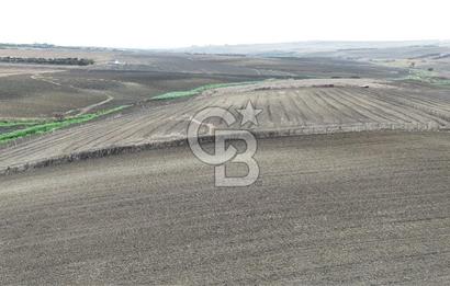 SİLİVRİ YENİ MAHALLEDE 18.319 M² FENERKÖY YAKINI SATILIK TARLA