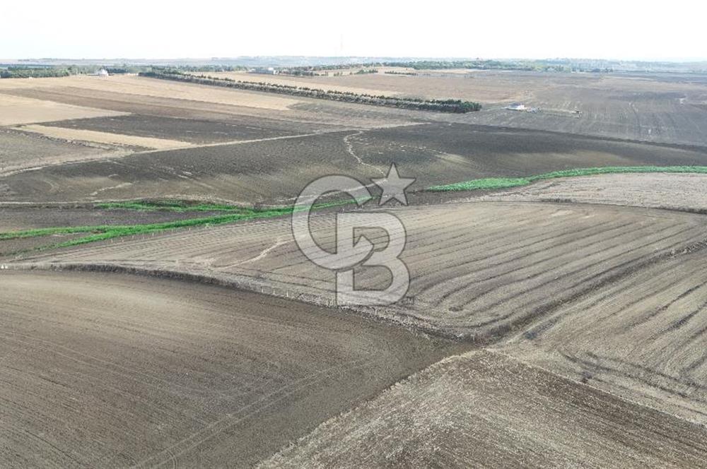 SİLİVRİ YENİ MAHALLEDE 18.319 M² FENERKÖY YAKINI SATILIK TARLA