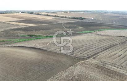 SİLİVRİ YENİ MAHALLEDE 18.319 M² FENERKÖY YAKINI SATILIK TARLA