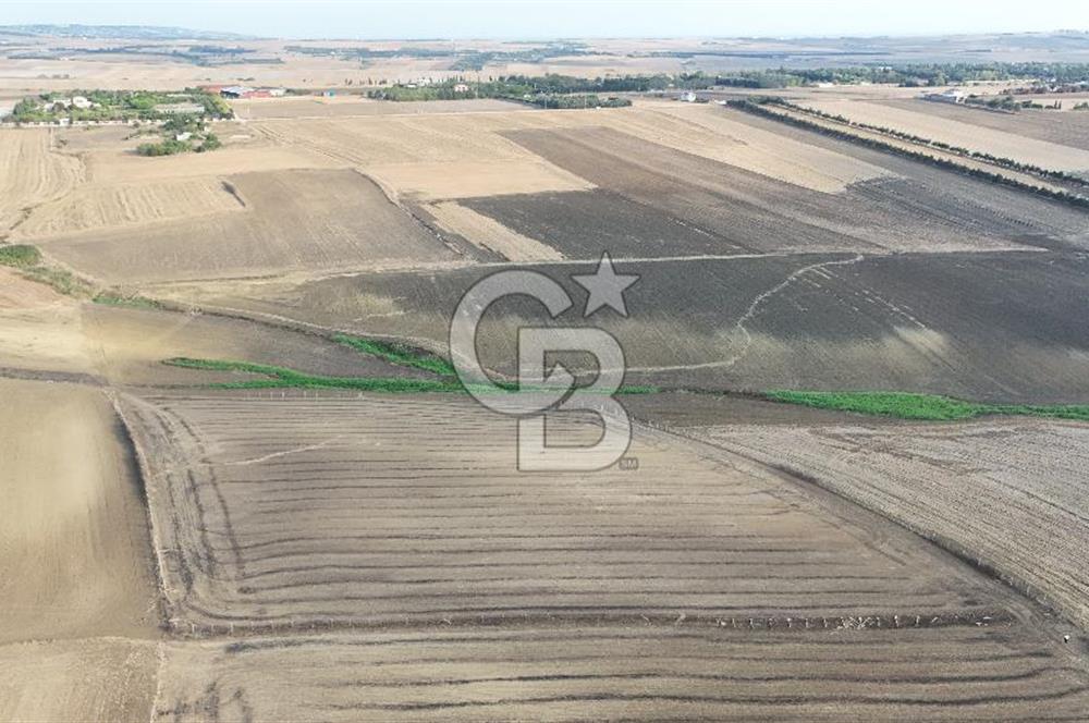 SİLİVRİ YENİ MAHALLEDE 18.319 M² FENERKÖY YAKINI SATILIK TARLA