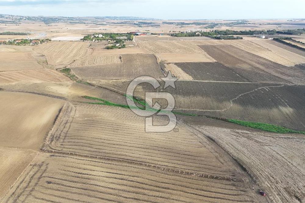 SİLİVRİ YENİ MAHALLEDE 18.319 M² FENERKÖY YAKINI SATILIK TARLA