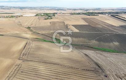 SİLİVRİ YENİ MAHALLEDE 18.319 M² FENERKÖY YAKINI SATILIK TARLA