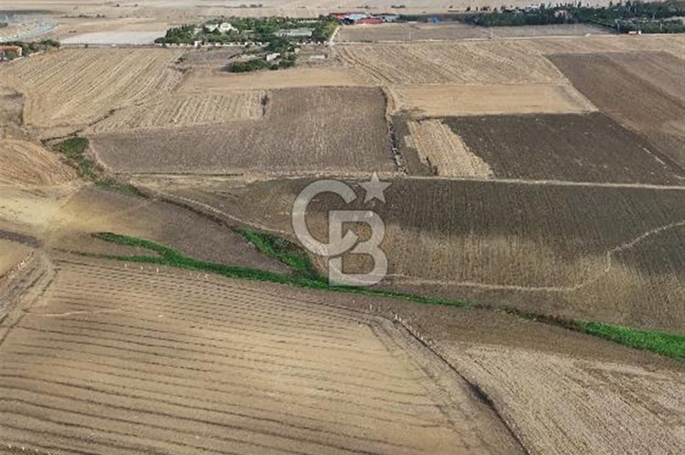 SİLİVRİ YENİ MAHALLEDE 18.319 M² FENERKÖY YAKINI SATILIK TARLA