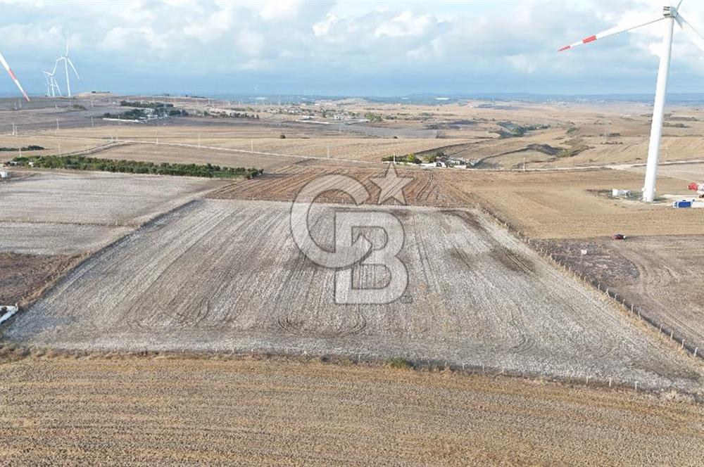 İSTANBUL SİLİVRİ FENERKÖYDE SATILIK 20 DÖNÜM YATIRIMLIK ARAZİ