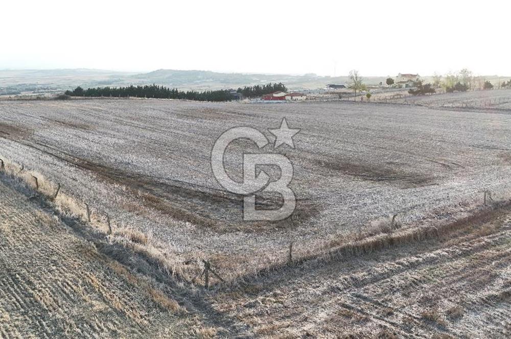 İSTANBUL SİLİVRİ FENERKÖYDE SATILIK 20 DÖNÜM YATIRIMLIK ARAZİ