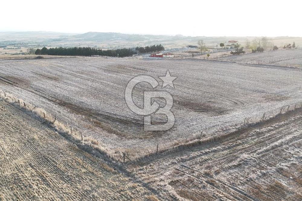 İSTANBUL SİLİVRİ FENERKÖYDE SATILIK 20 DÖNÜM YATIRIMLIK ARAZİ