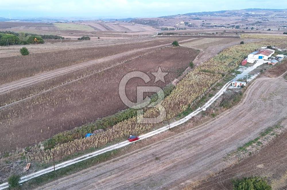 İSTANBUL SİLİVRİ AKÖREN' DE SATILIK YOLA CEPHELİ, GENİŞ ARAZİ