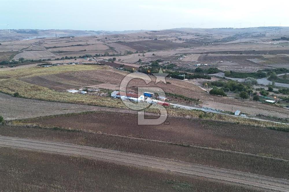 İSTANBUL SİLİVRİ AKÖREN' DE SATILIK YOLA CEPHELİ, GENİŞ ARAZİ