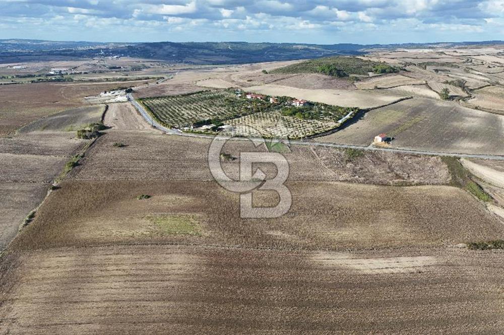 İSTANBUL ÇATALCA NAKKAŞTA 44 DÖNÜMLÜK ARAZİ FIRSATI