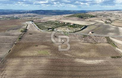 İSTANBUL ÇATALCA NAKKAŞTA 44 DÖNÜMLÜK ARAZİ FIRSATI