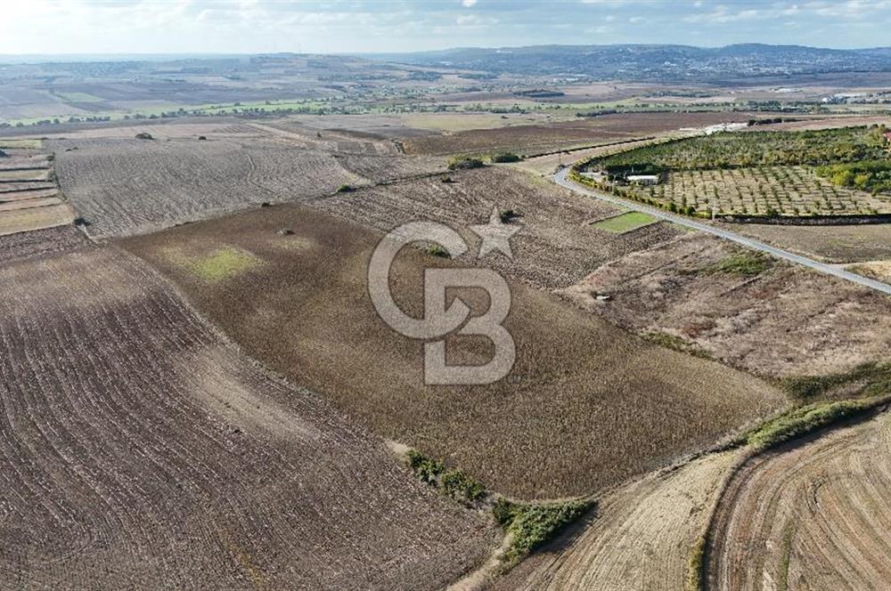 İSTANBUL ÇATALCA NAKKAŞTA 44 DÖNÜMLÜK ARAZİ FIRSATI