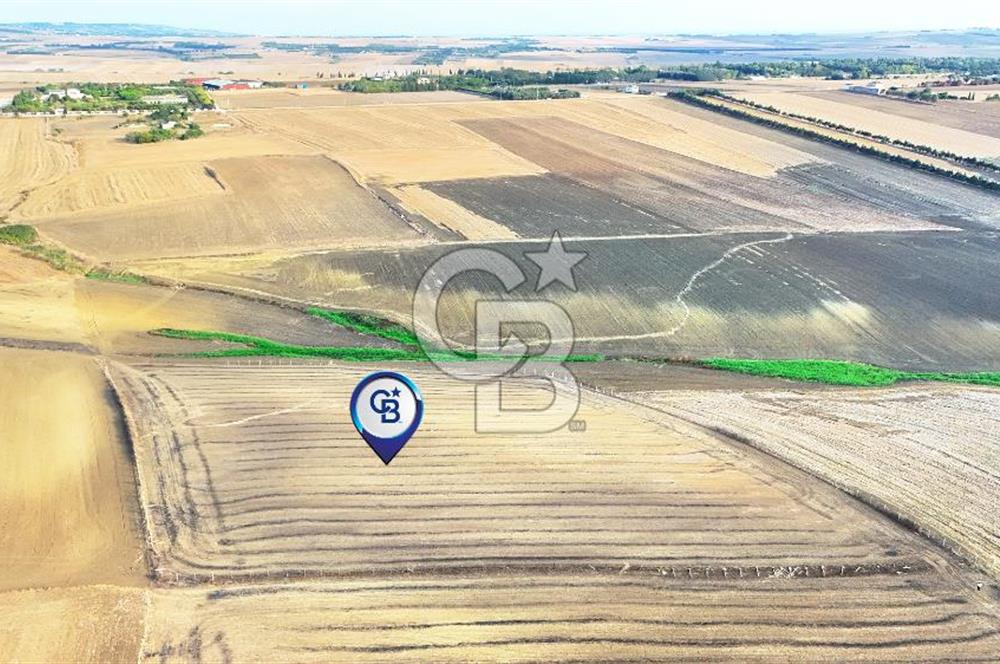 SİLİVRİ YENİ MAHALLEDE 18.319 M² FENERKÖY YAKINI SATILIK TARLA