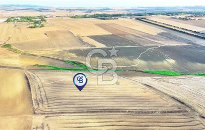 SİLİVRİ YENİ MAHALLEDE 18.319 M² FENERKÖY YAKINI SATILIK TARLA