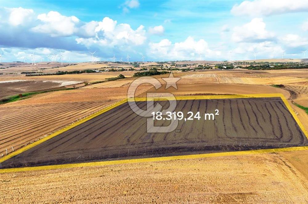 SİLİVRİ YENİ MAHALLEDE 18.319 M² FENERKÖY YAKINI SATILIK TARLA