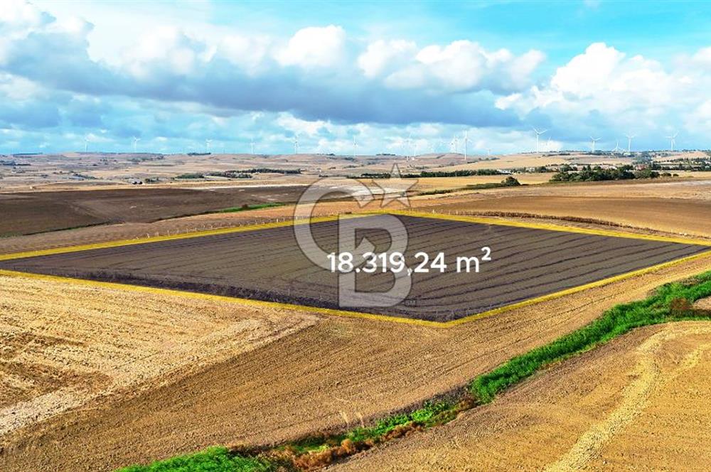 SİLİVRİ YENİ MAHALLEDE 18.319 M² FENERKÖY YAKINI SATILIK TARLA