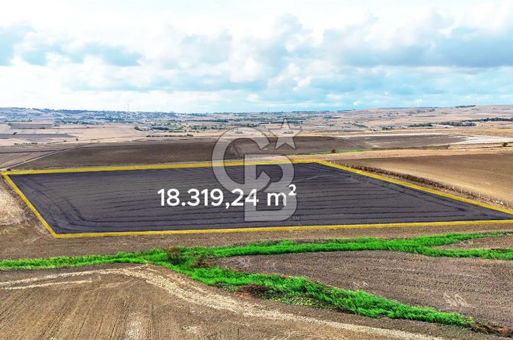 SİLİVRİ YENİ MAHALLEDE 18.319 M² FENERKÖY YAKINI SATILIK TARLA
