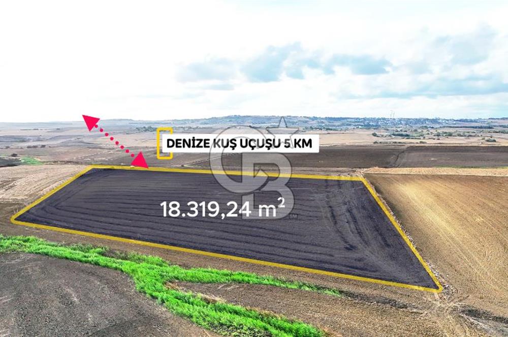 SİLİVRİ YENİ MAHALLEDE 18.319 M² FENERKÖY YAKINI SATILIK TARLA