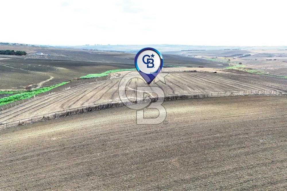 SİLİVRİ YENİ MAHALLEDE 18.319 M² FENERKÖY YAKINI SATILIK TARLA