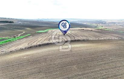 SİLİVRİ YENİ MAHALLEDE 18.319 M² FENERKÖY YAKINI SATILIK TARLA
