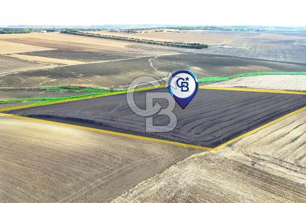 SİLİVRİ YENİ MAHALLEDE 18.319 M² FENERKÖY YAKINI SATILIK TARLA