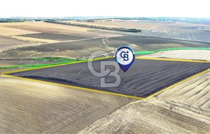 SİLİVRİ YENİ MAHALLEDE 18.319 M² FENERKÖY YAKINI SATILIK TARLA