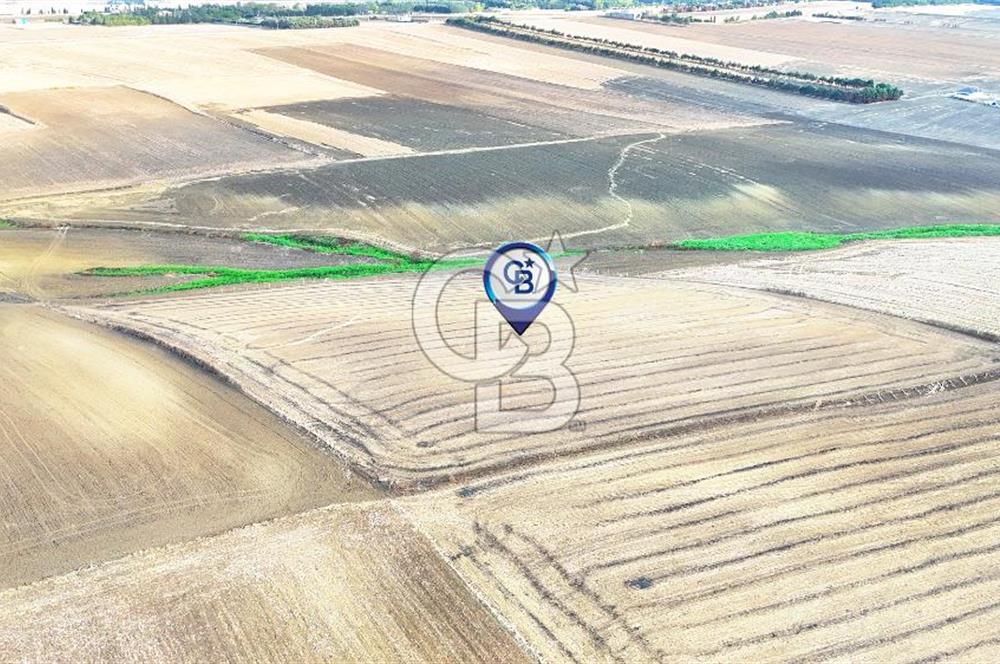 SİLİVRİ YENİ MAHALLEDE 18.319 M² FENERKÖY YAKINI SATILIK TARLA