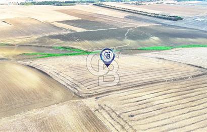 SİLİVRİ YENİ MAHALLEDE 18.319 M² FENERKÖY YAKINI SATILIK TARLA