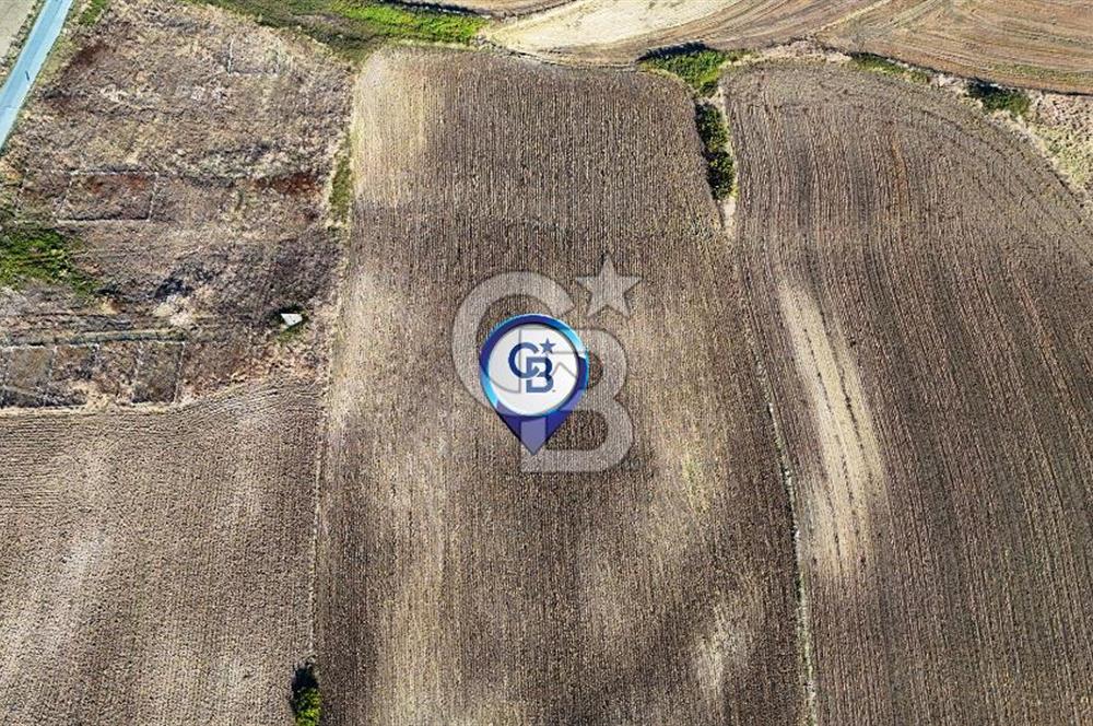 İSTANBUL ÇATALCA NAKKAŞTA 44 DÖNÜMLÜK ARAZİ FIRSATI