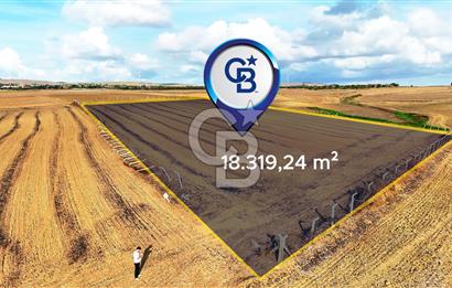SİLİVRİ YENİ MAHALLEDE 18.319 M² FENERKÖY YAKINI SATILIK TARLA