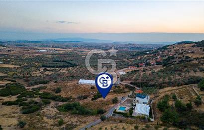 Foça Kocamehmetler'de Müstakil Tapulu Yola Cepheli Satılık Tarla