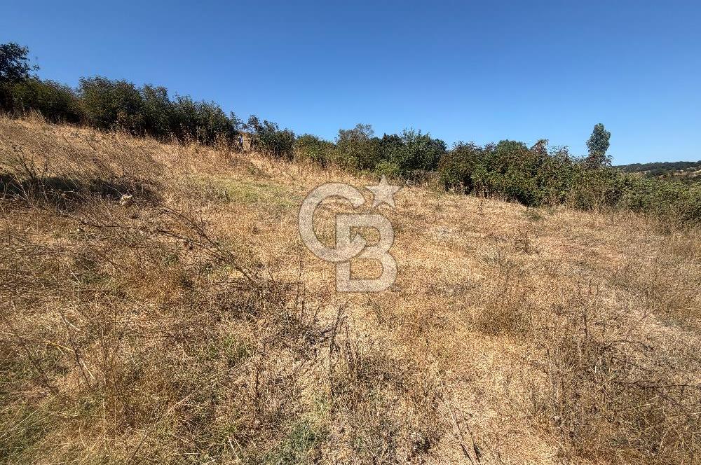 ÇANAKKALE ÇAN DUMAN KÖYÜNDE SATILIK 512 M2 BAHÇE