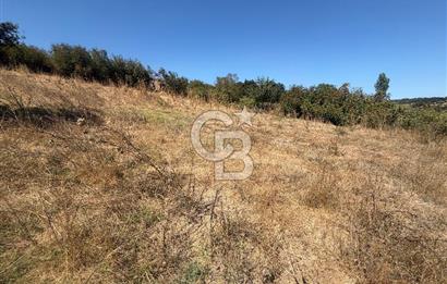 ÇANAKKALE ÇAN DUMAN KÖYÜNDE SATILIK 512 M2 BAHÇE