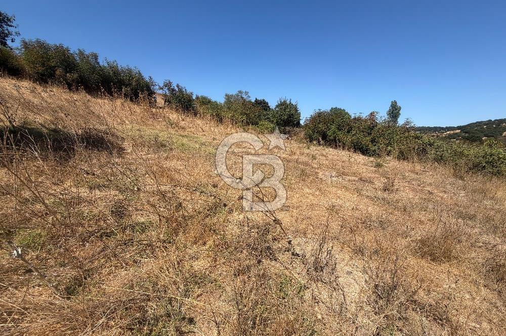 ÇANAKKALE ÇAN DUMAN KÖYÜNDE SATILIK 512 M2 BAHÇE