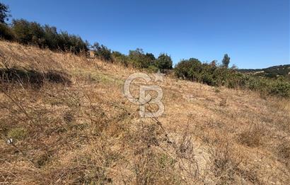 ÇANAKKALE ÇAN DUMAN KÖYÜNDE SATILIK 512 M2 BAHÇE