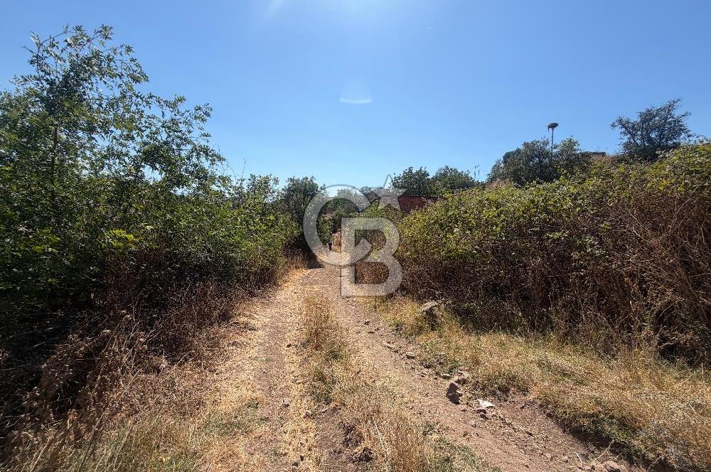 ÇANAKKALE ÇAN DUMAN KÖYÜNDE SATILIK 512 M2 BAHÇE