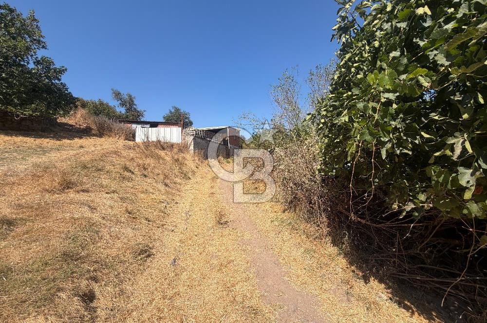 ÇANAKKALE ÇAN DUMAN KÖYÜNDE SATILIK 512 M2 BAHÇE