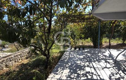 Urla Kuşçular’da Doğa İle İç İçe, Kiralık 4+1 Daire